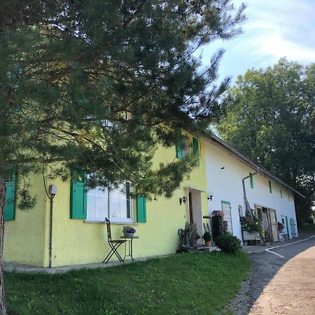 Weiher 1 Villa Rot an der Rot Exterior foto
